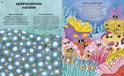 Ядовитые животные. Кто, зачем и как использует яды в дикой природе - фото 6