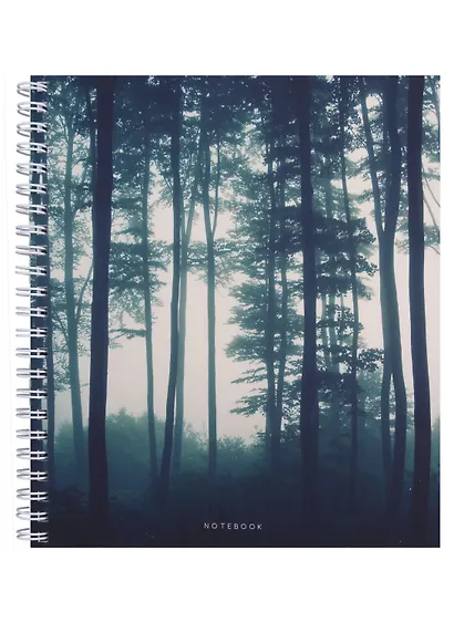 Тетрадь в клетку Listoff, "В дымке", 96 листов, в ассортименте - фото 3