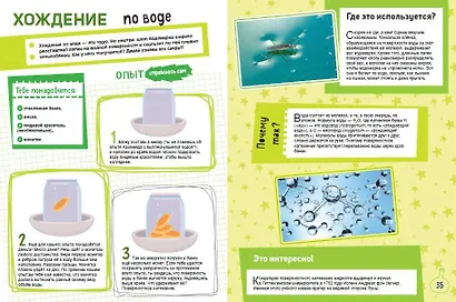 Книга опытов и экспериментов для детей и взрослых - фото 6