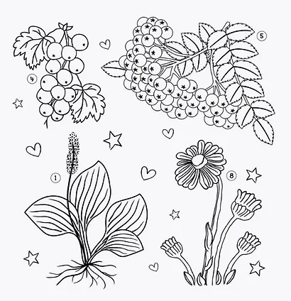 Кроссворды о безопасности. Раскраска-кроссворд - фото 4