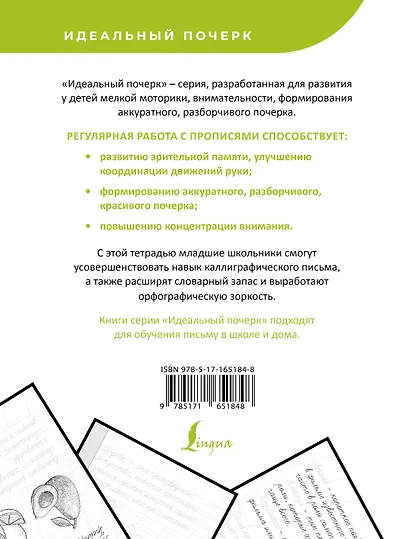 Русский язык. Учимся писать слова-заимствования - фото 2