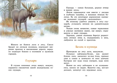 Год в лесу. Рассказы о природе - фото 8