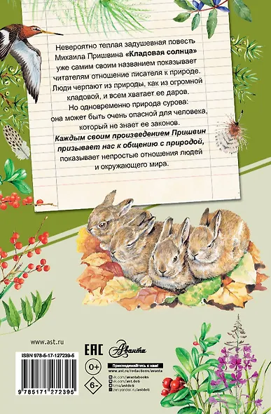 Кладовая солнца - фото 2