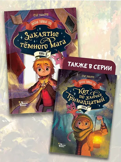 Заклятие тёмного мага - фото 6