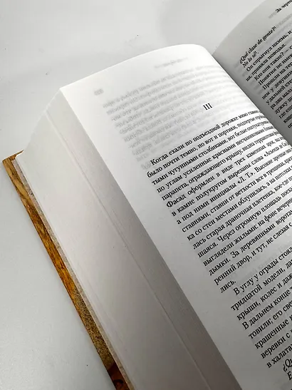 Пограничная трилогия - фото 12