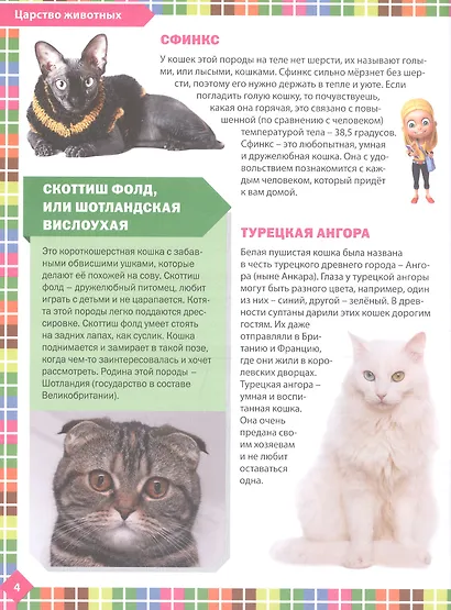 Большая книга обо всём на свете. Детская энциклопедия для девочек - фото 3