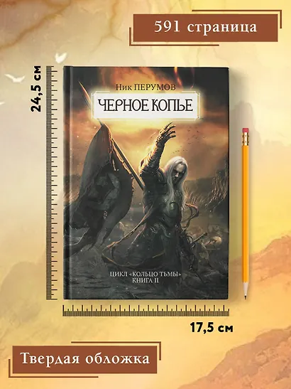 Черное копье - фото 12