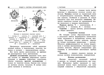 Биология - фото 7
