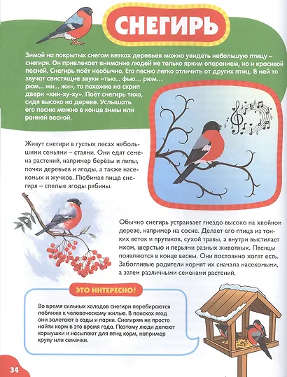 Птицы для малышей - фото 4