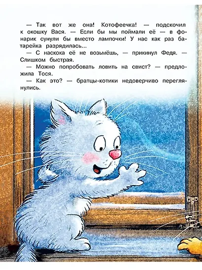 На что ловятся котофеечки - фото 4