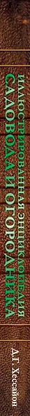 Иллюстрированная энциклопедия садовода и огородника - фото 4