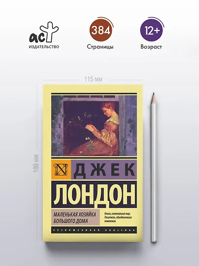 Маленькая хозяйка Большого дома - фото 4