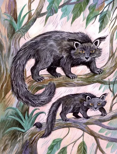 Удивительные звери - фото 2