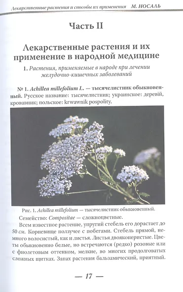 Лекарственные растения и способы их применения в народе - фото 4