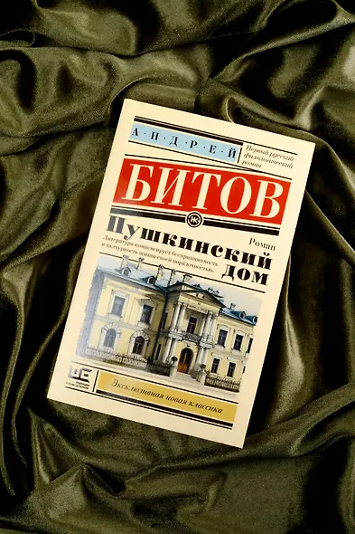 Пушкинский дом - фото 5