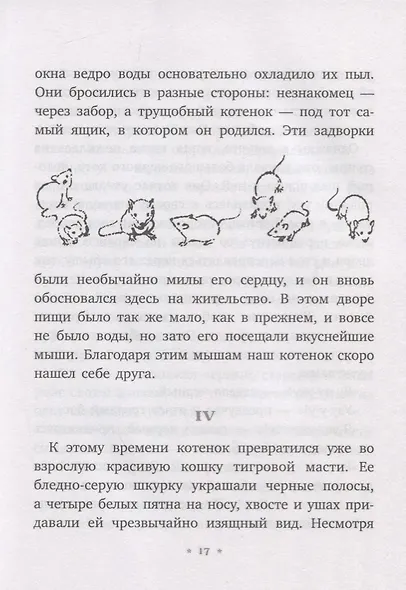 Джек - боевой конек - фото 3