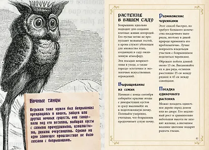 Маленький гримуар ведьмы. Зелья и волшебные травы - фото 15