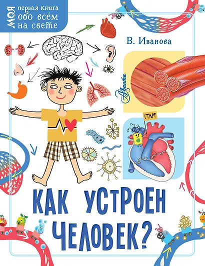 Как устроен человек? - фото 1