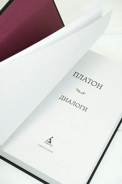 Диалоги - фото 10