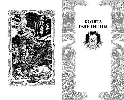 Коты-воители. Сборник. Нерассказанные истории. Секрет Мотылинки - фото 10