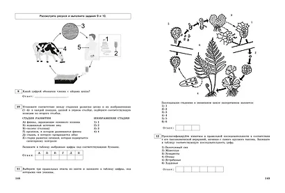 ЕГЭ-2024. Биология. Тематические тренировочные задания - фото 11