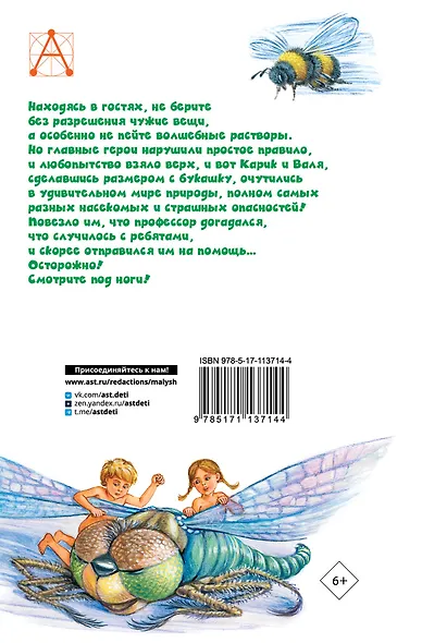 Необыкновенные приключения Карика и Вали - фото 2