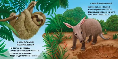 Такие разные птицы. Загадки-рифмы - фото 5