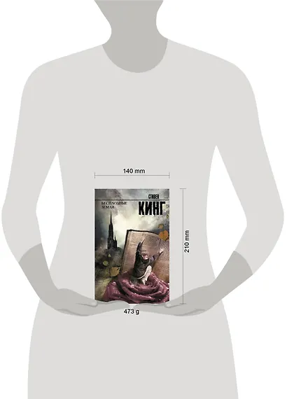 Бесплодные земли: из цикла "Темная Башня": роман - фото 4