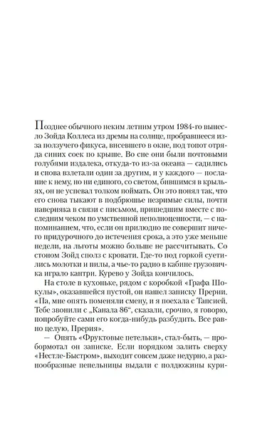 Винляндия - фото 13