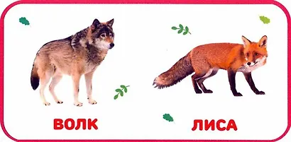Дикие животные - фото 2