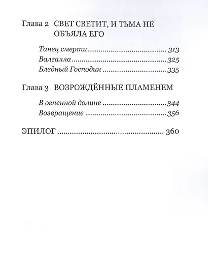 Поль Мартан и Орден Вифлеемской Звезды. Книга 2 - фото 5