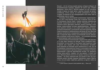 Японизм. Маленькая книга японской жизненной мудрости - фото 7