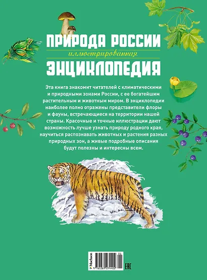Природа России. Иллюстрированная энциклопедия - фото 2