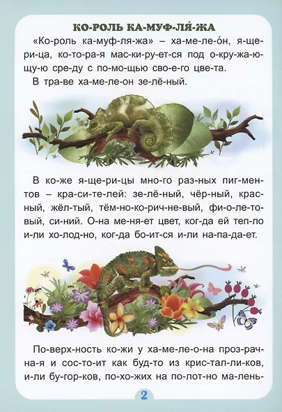 Слогочиталка. Кто, что и где самые-самые: интересные рассказы - фото 2