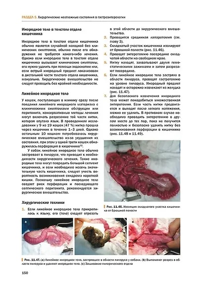 Скорая хирургическая помощь мелким домашним животным - фото 11