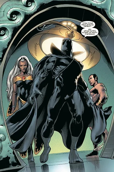 Гражданская война. Чёрная Пантера - фото 5