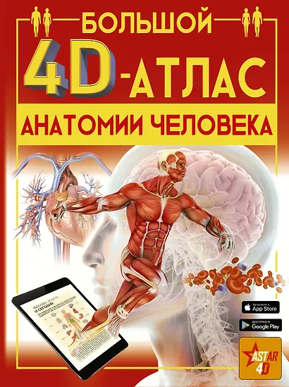 Большой 4D-атлас анатомии человека - фото 1