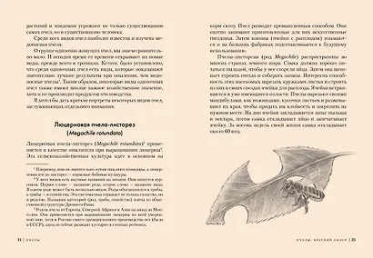 Пчелы. Что человек и пчела значат друг для друга - фото 5