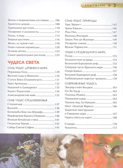 Лучшая иллюстрированная энциклопедия для девочек - фото 3