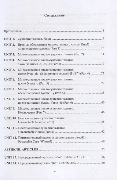 Имя существительное: учебное пособие - фото 2