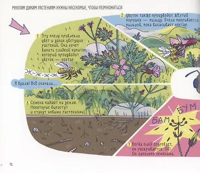 Сорные травы - фото 7