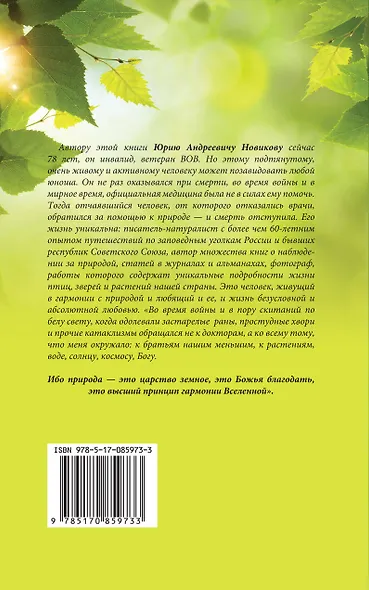 Лес - место силы - фото 2