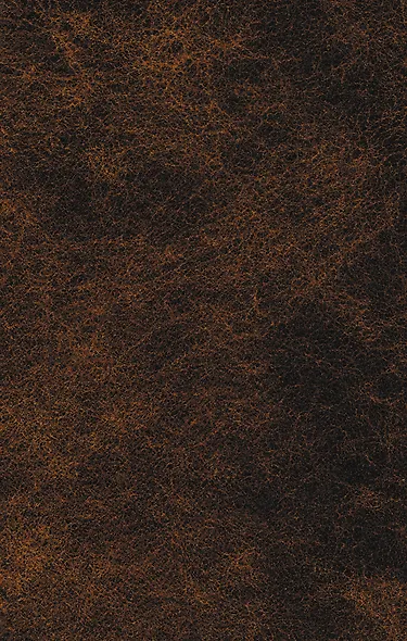 Записки отшельника - фото 2