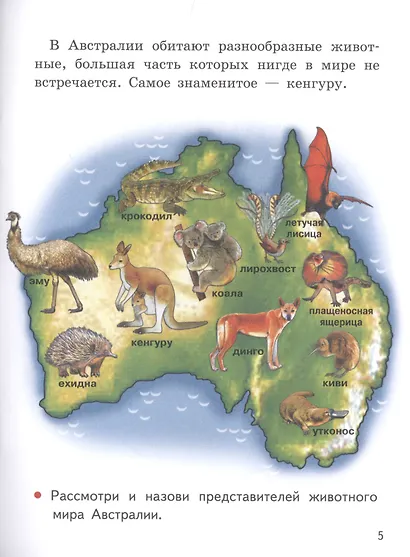 Мир вокруг нас (6-7 лет) - фото 5