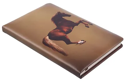 Книга для записей «ART. Стаббс Д. Уистлджекет» А5, 100 листов, нелинованная/в точку, Schiller - фото 8