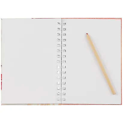 Скетчбук А5 60л "SKETCHBOOK. Picture", 120г/м2, софт. тач, евроспираль - фото 2