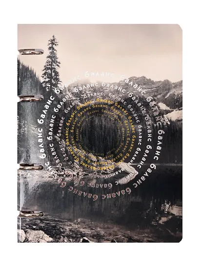 Тетрадь 100л кл. "Баланс" на кольцах, мел.картон, глянц.ламинация, тичнение фольгой Серебро, квадр.корешок, скругл.углы - фото 1