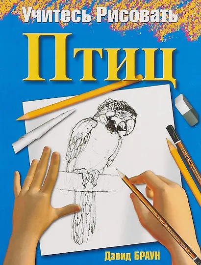 Учитесь рисовать птиц - фото 2