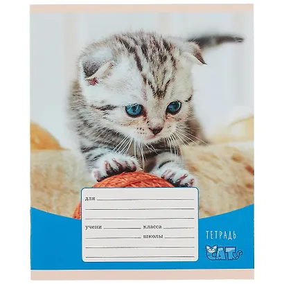 Тетрадь в клетку Listoff, "Игривые котята", 12 листов, в ассортименте - фото 3