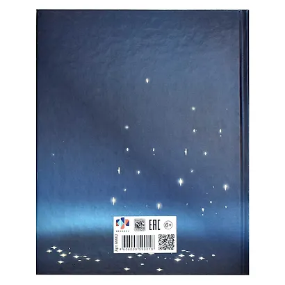 Дневник для младших классов Феникс+, "Кот" - фото 12